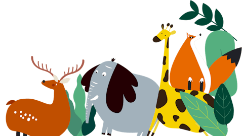 Safari illustration Safari illustration