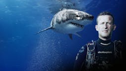 Andy Cassagrande in front of a shark Andy Cassagrande in front of a shark