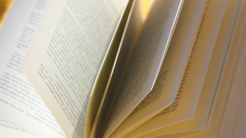 book book