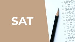 sat beige sat beige