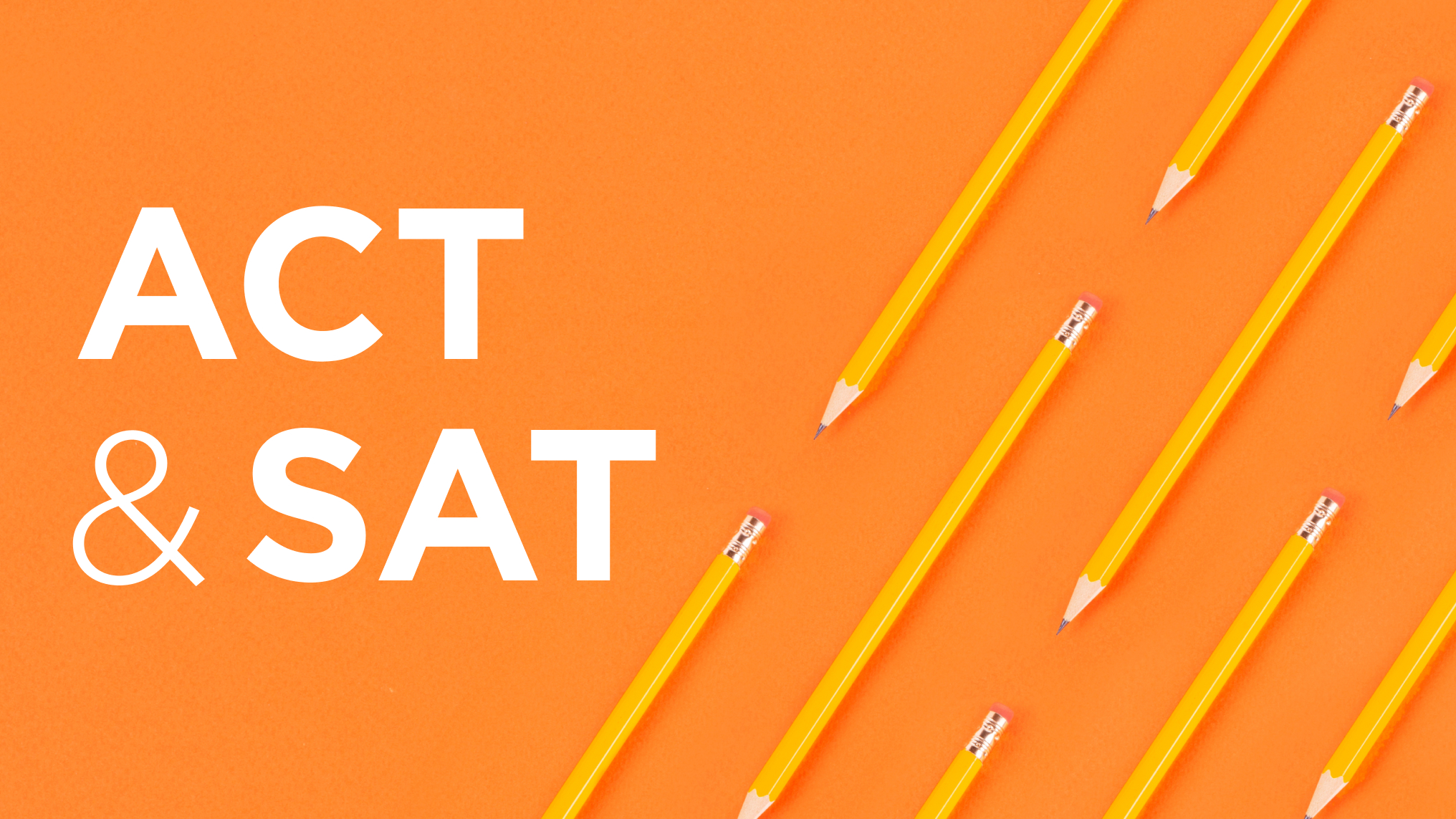 拿着铅笔表演和坐