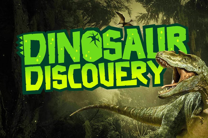 Dino Discovery Club