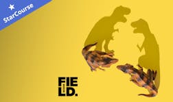 two trex on a yellow background two trex on a yellow background