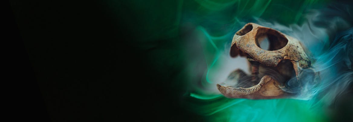 Celebrity classes by Varsity Tutors