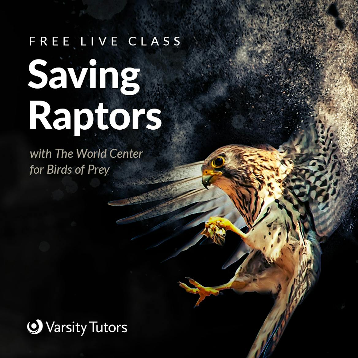 Varsity Tutors' StarCourse - Discovering Raptors with the WORLD CENTER FOR  BIRDS OF PREY 