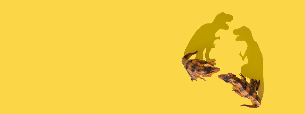 Celebrity classes by Varsity Tutors