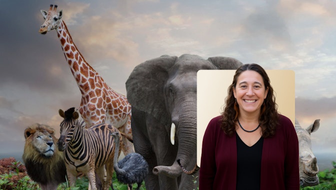 Animal Adventure Camp