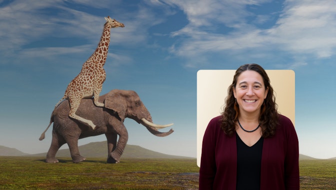 Amazing Animal Adventures