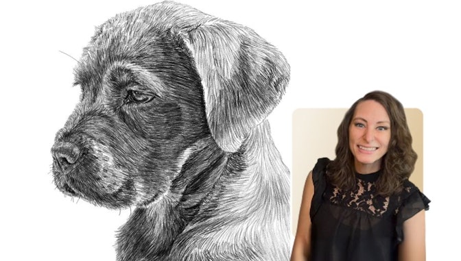 Learn to Draw Animals