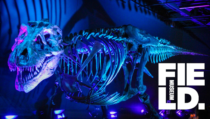Stories of SUE, a Fantastic _T. rex_ Fossil