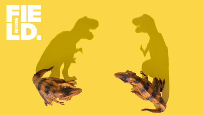 Dino or Di-Not?
