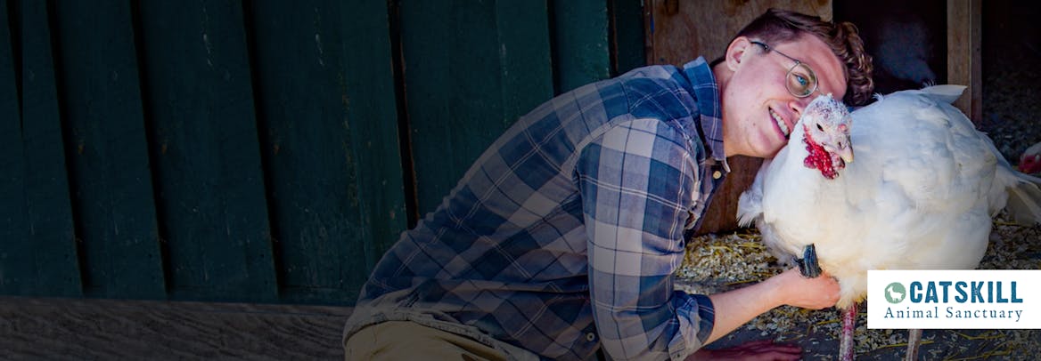 Celebrity classes by Varsity Tutors