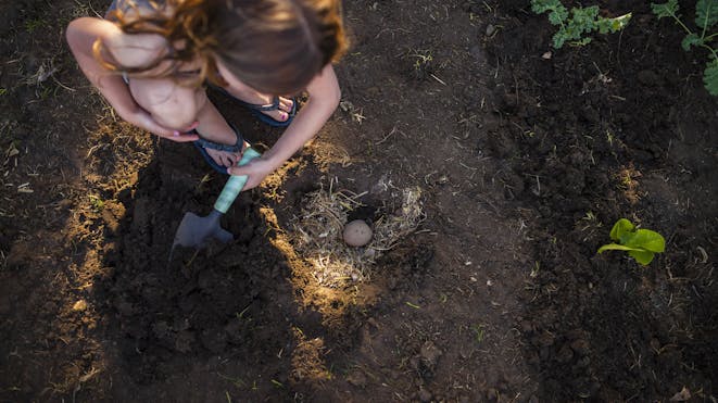 Child digging in garden