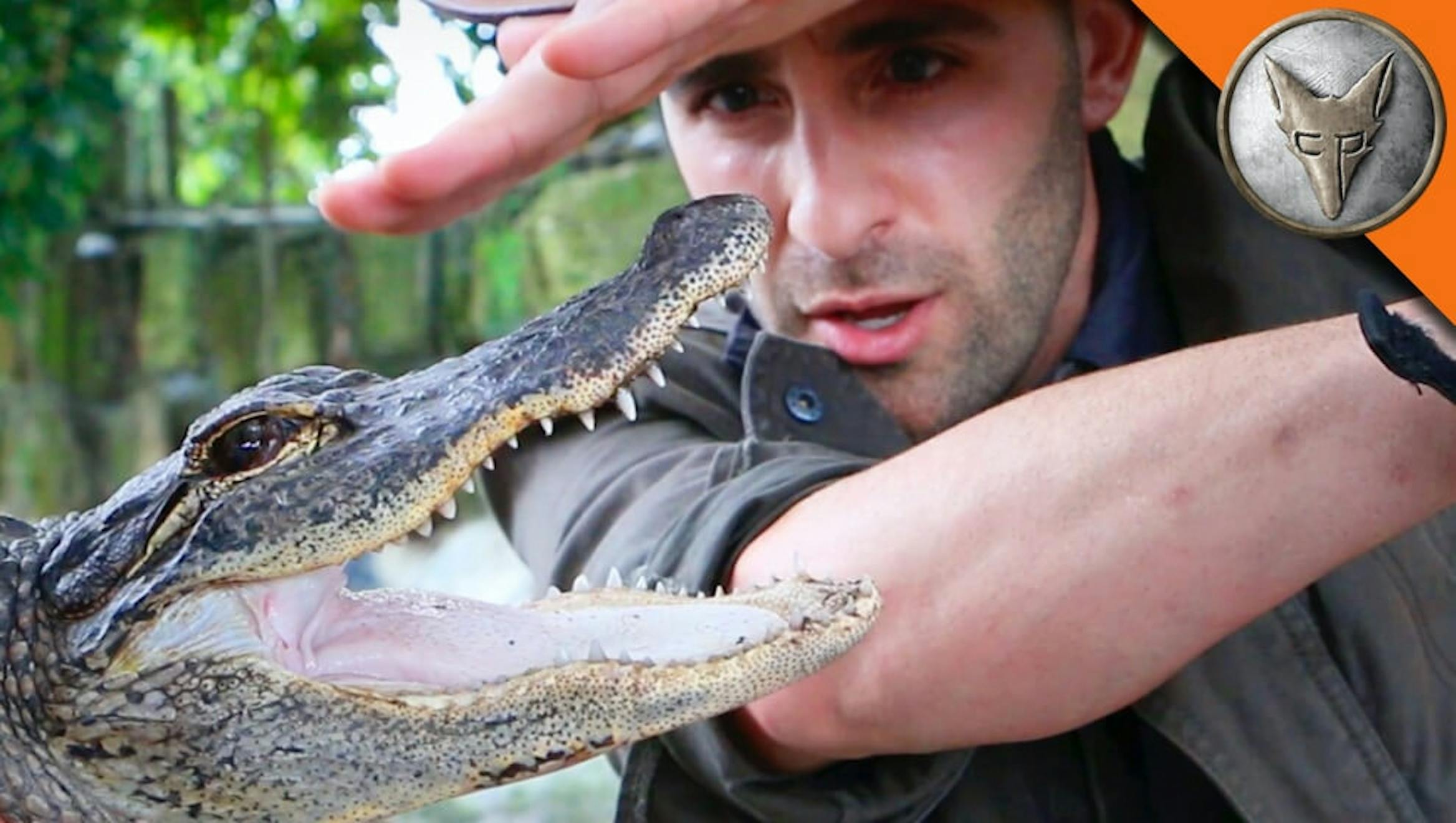 Join Coyote Peterson's StarCourse—YEEOOW!: The Science of Bites & Stings