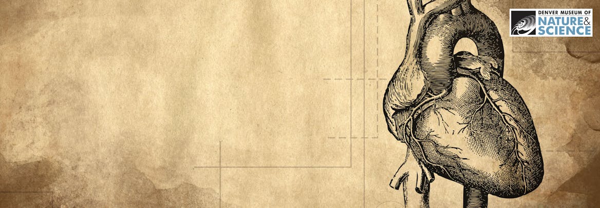 Celebrity classes by Varsity Tutors Celebrity classes by Varsity Tutors