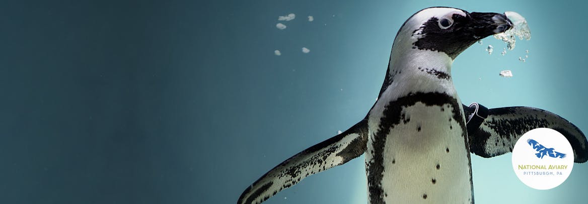 Celebrity classes by Varsity Tutors Celebrity classes by Varsity Tutors