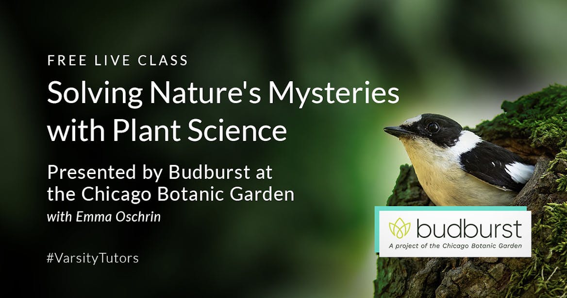 Solving Nature's Mysteries with Plant Science