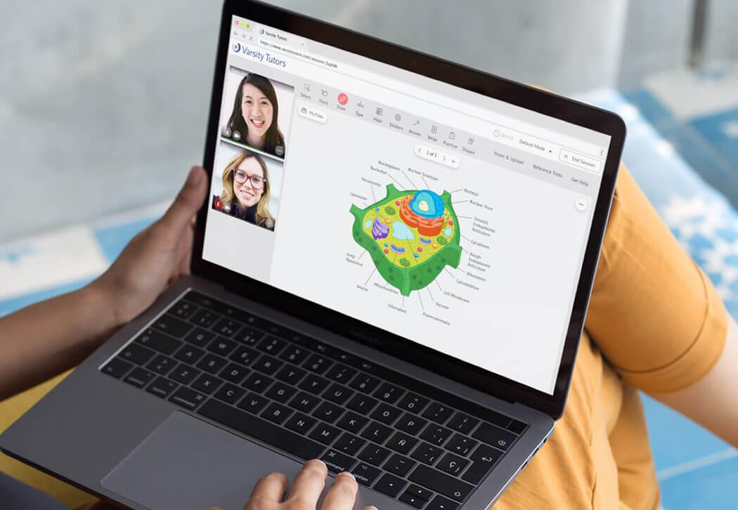 One on One Online Tutoring screenshot on a laptop