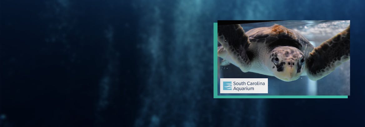 Celebrity classes by Varsity Tutors Celebrity classes by Varsity Tutors