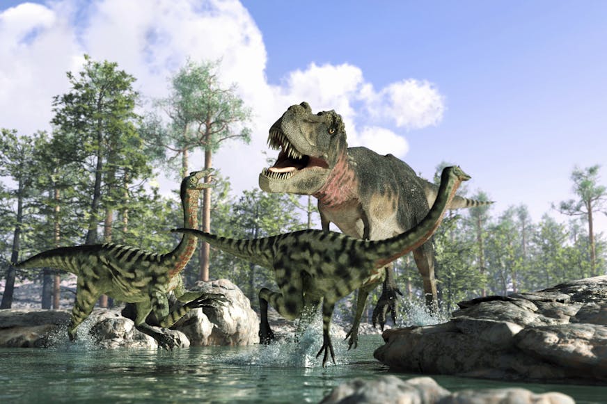 T-rex chasing raptors 霸王龙追逐猛禽